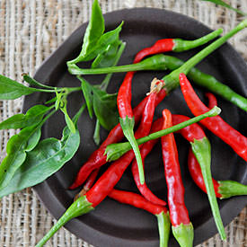 My Thai Herb Garden - Recipe photo by rachelcooksthai