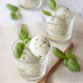 Fresh Lime Basil Sorbet - Recipe photo by little.empty.room