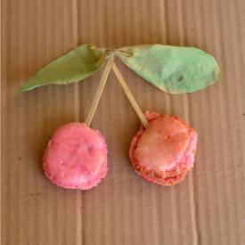 Macaron - Recipe photo by willowday