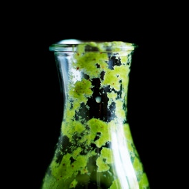 Green Shake - Recipe photo by what should i eat for breakfast today