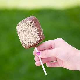S’mores Pops - Recipe photo by realmomkitchen