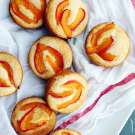 Little Apricot Cakes - Recipe photo by ChannelingContessa