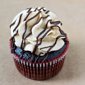 Chocolate Peanut Butter Cupcakes - Recipe photo by clstar
