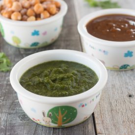 Chaat Chutneys (Green and Tamarind) - Recipe photo by cooksjoy