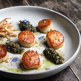 Scallops with Herbs and Wild Apple - Recipe photo by thebitehouse