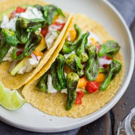 Padron Pepper Tacos - Recipe photo by TheBojonGourmet