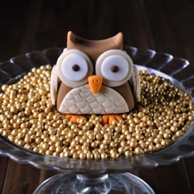 Edible Sugarpaste Owl - Recipe photo by JuniperCakery