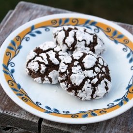 Rich Cocoa Crinkle Cookies - Recipe photo by 100PercentMollyMade