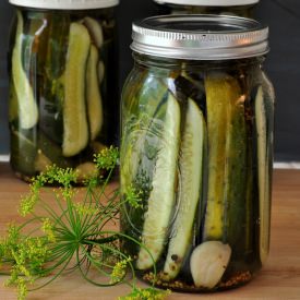 Refrigerator Garlic Dill Pickles - Recipe photo by The Creekside Cook