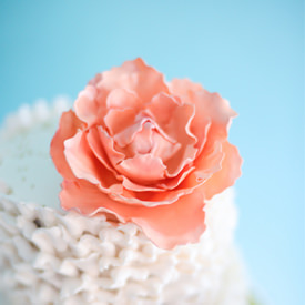 Gumpaste Peony Tutorial - Recipe photo by tikkido