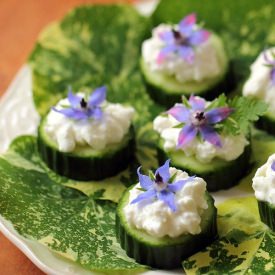 Cucumber and Borage Canapés - Recipe photo by growntocook