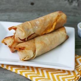 Cheesy Hot Dog Wontons - Recipe photo by cheap-recipe-blog