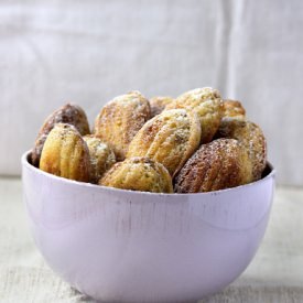 Sticky Date Madeleines - Recipe photo by alexskrebcova