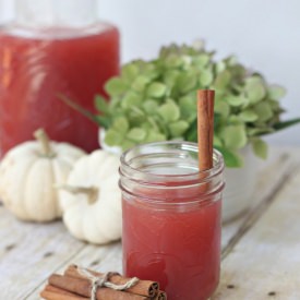 Easy & Delicious Cranberry Cider - Recipe photo by Tonya at Love of Family and Home
