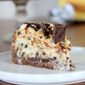S'mores Cheesecake - Recipe photo by bakerita