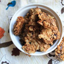 Pumpkin Chocolate Granola Bites - Recipe photo by frugalfoodiefamily