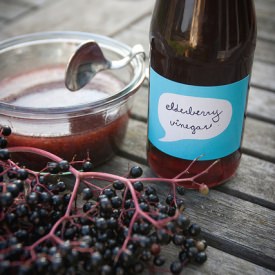 Elderberry Vinegar & Syrup - Recipe photo by MeccaGBC