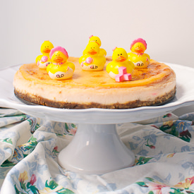 Biscoff Crust Vanilla Cheesecake - Recipe photo by buttercreamfanatic