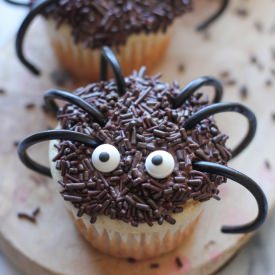 Halloween Spider Cupcakes - Recipe photo by damndelicious