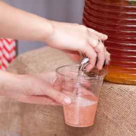 Passionfruit and Cranberry Punch - Recipe photo by thepast