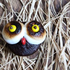 Owl Cupcakes - Recipe photo by darka