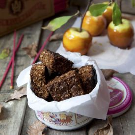 Bonfire Parkin - Recipe photo by Regula Ysewijn Foodwise