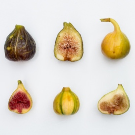 4 Unusual Fig Varieties to Try Now - Recipe photo by TheHorticult