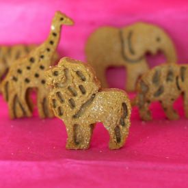 Gluten Free Vegan Graham Crackers - Recipe photo by petiteallergytreats