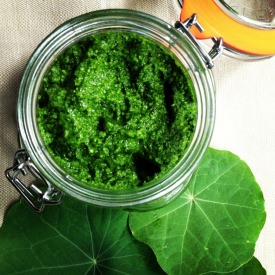 Nasturtium Pesto - Recipe photo by Urvashi Roe
