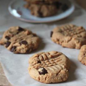 Vegan Peanut Butter Chocolate Chip - Recipe photo by cicirose