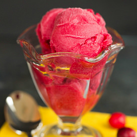 Cranberry Sorbet - Recipe photo by browneyedbaker