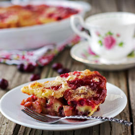 Easy Cranberry and Apple Cake - Recipe photo by foolproofliving.com