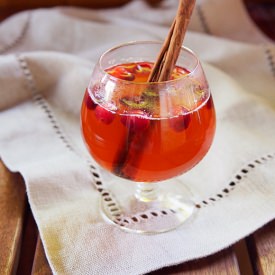 Mulled Cranberry Apple Cider - Recipe photo by gardenbetty