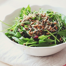 Cranberry Wheat Sprouts Salad - Recipe photo by Blog cu Legume