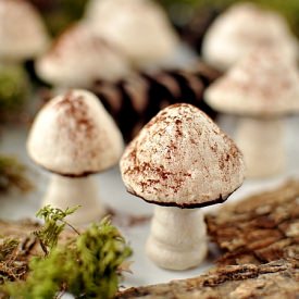 Meringue Mushrooms - Recipe photo by ZauberKueche