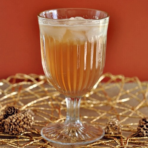 Golden Autumn Cocktail - Recipe photo by surlykitchen
