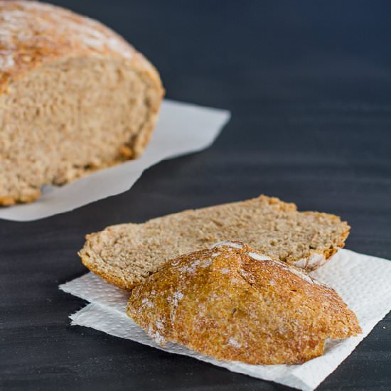 No Knead Whole Wheat Bread - Recipe photo by jocooks