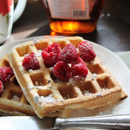Whole Wheat Berry Waffles - Recipe photo by hiddenponies