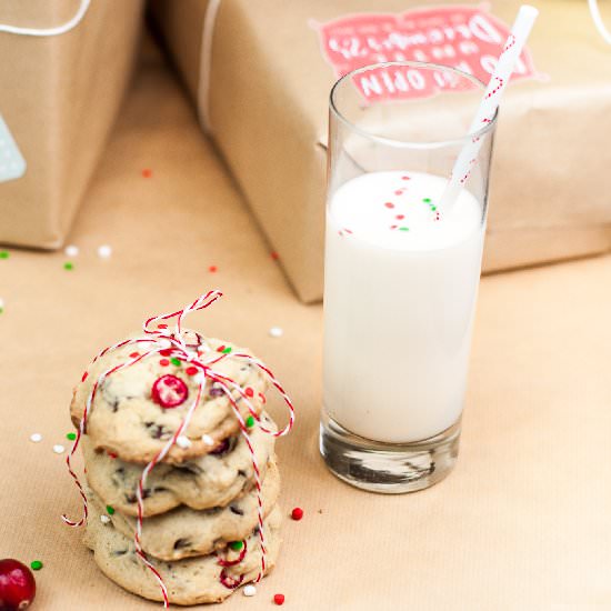 Chocolate Chip Cranberry Cookies - Recipe photo by intheknowmom