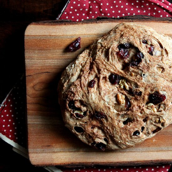 Cranberry Walnut Bread - Recipe photo by jennyrawn