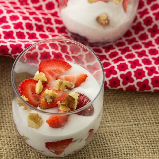 Homemade Dairy Free Yogurt - Recipe photo by LowCarbOneDay
