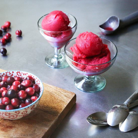 Cranberry Sorbet - Recipe photo by Kitchen Konfidence