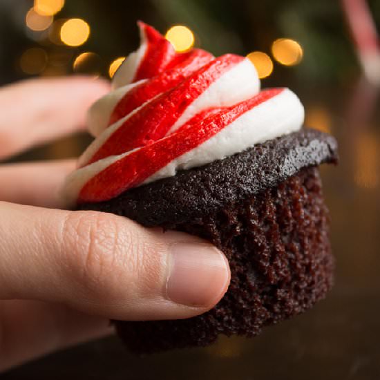 Chocolate Cupcakes with Peppermint - Recipe photo by thestylistquo