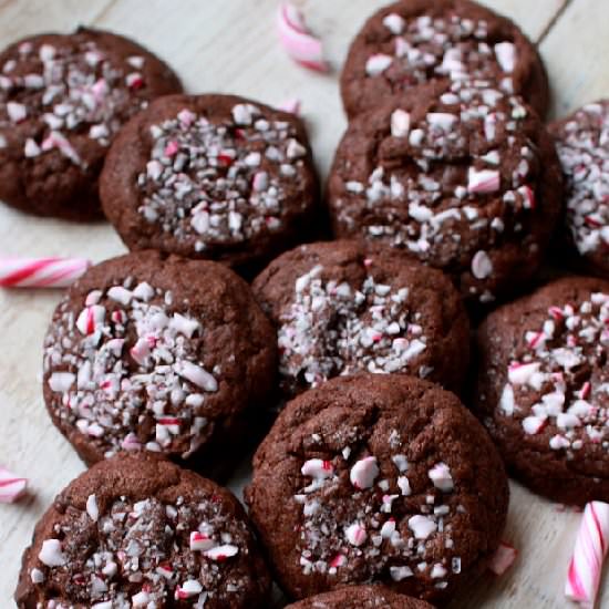 Peppermint Chocolate Cookies - Recipe photo by Wicked sweet kitchen