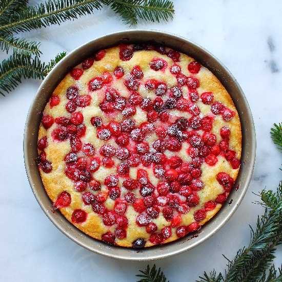 Easy Cranberry Lemon Cake - Recipe photo by Gluten Free Blondie