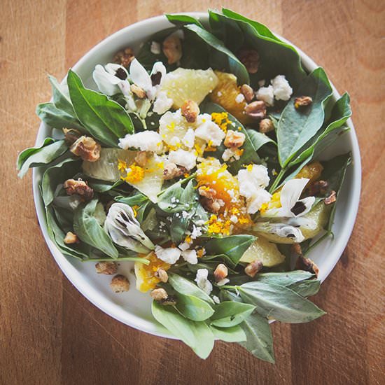 Fava leaf salad - Recipe photo by gardenbetty