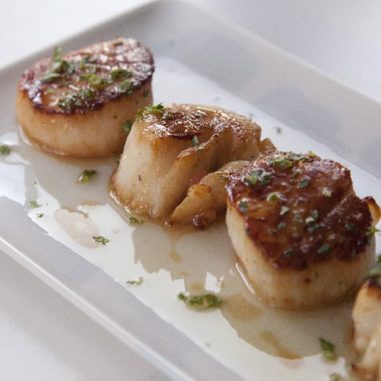 Seared Scallops in Lemon Butter - Recipe photo by urbancookery