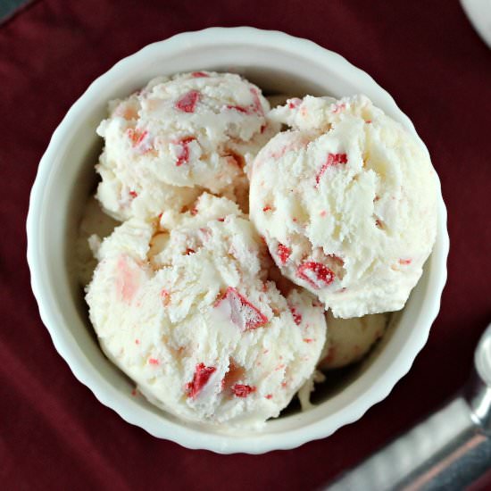 Andes Peppermint Crunch Ice Cream - Recipe photo by SolidGoldEats