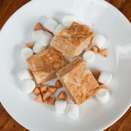 Peanut Butter Squares - Recipe photo by Nugglemama