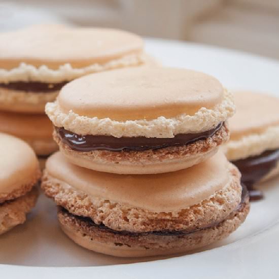 Easy Homemade French Macarons - Recipe photo by thehomesteady